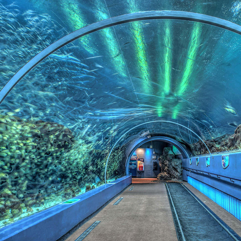 Sochi Discovery World Aquarium, Сочи. Океанариум Дискавери Уорлд аквариум Сочи. Сочи ворд Дискавери аквариум. Океанариум Сочи тоннель. Жд вокзал океанариум